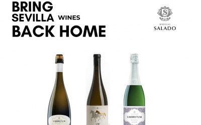 Bodegas Salado lleva el sabor de Sevilla de vuelta a Estados Unidos