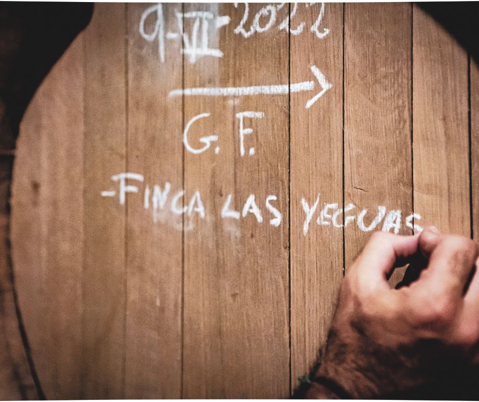 bota de garrido fino
